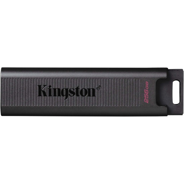 Флэш-накопитель Kingston DataTraveler Max 256Gb USB-C Flash Drive (DTMAX/256Gb)