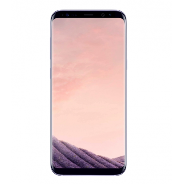 Samsung Galaxy S8 Gray (2 sim)