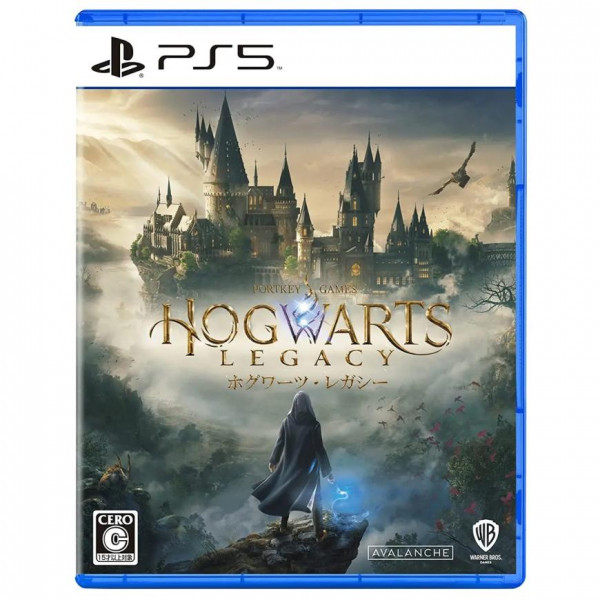 Игра для PS5 - Hogwarts Potter