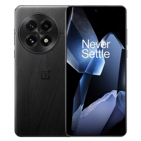 OnePlus 13, 12.256Gb, Black