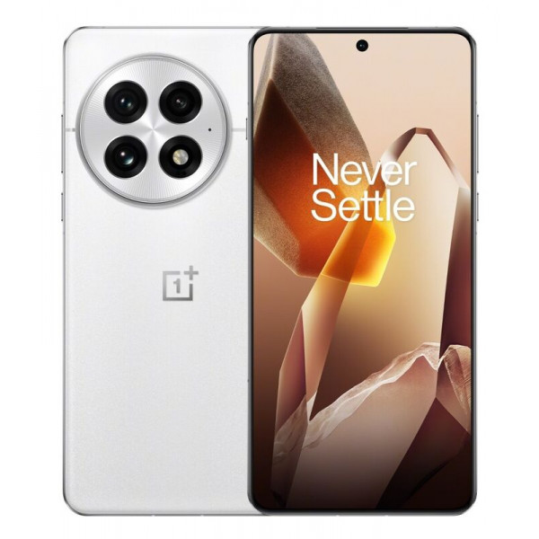 OnePlus 13, 12.256Gb, White